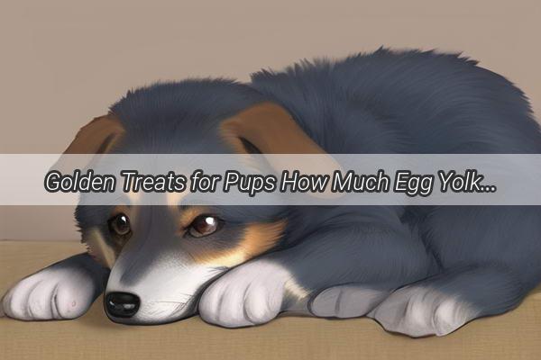 Golden Treats for Pups How Much Egg Yolk Should Your Dog Enjoy